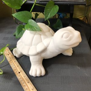 Garden Turtle