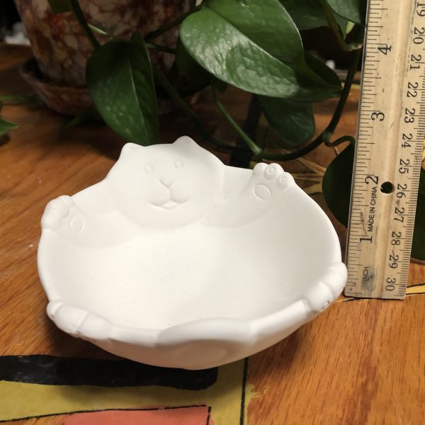 Cat Bowl