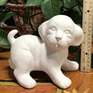 Dog - Puppy Standing