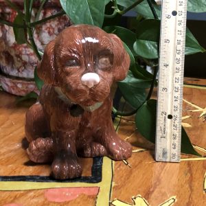 Dog - Puppy  Sitting