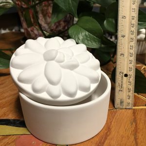 Succulent Box #2