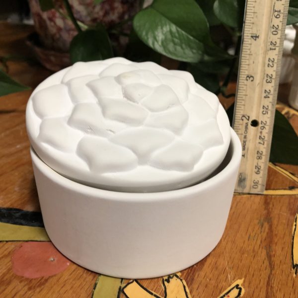 Succulent Box #1