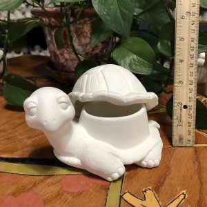 Turtle Box