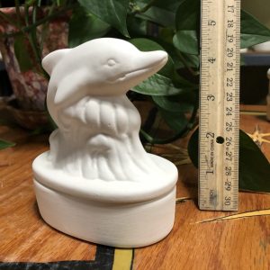 Dolphin Box