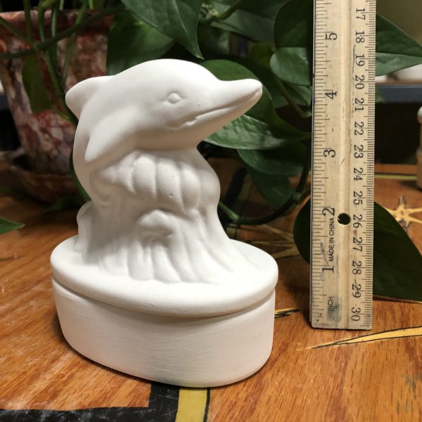 Dolphin Box