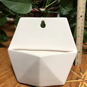 Wall Planter