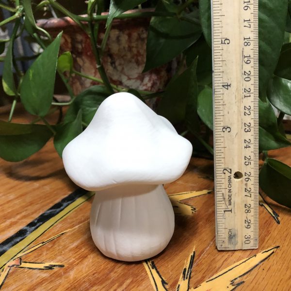 Mushroom  Magic