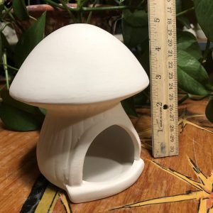 Mushroom Feeder