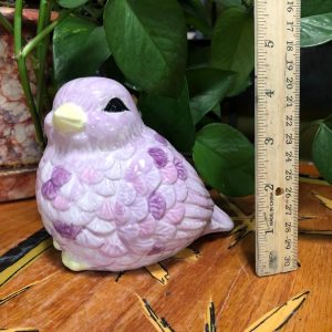 Plump Bird