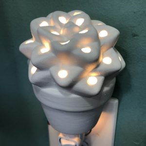 Succulent Night Light "Hot Pot"