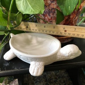 Turtle Dish