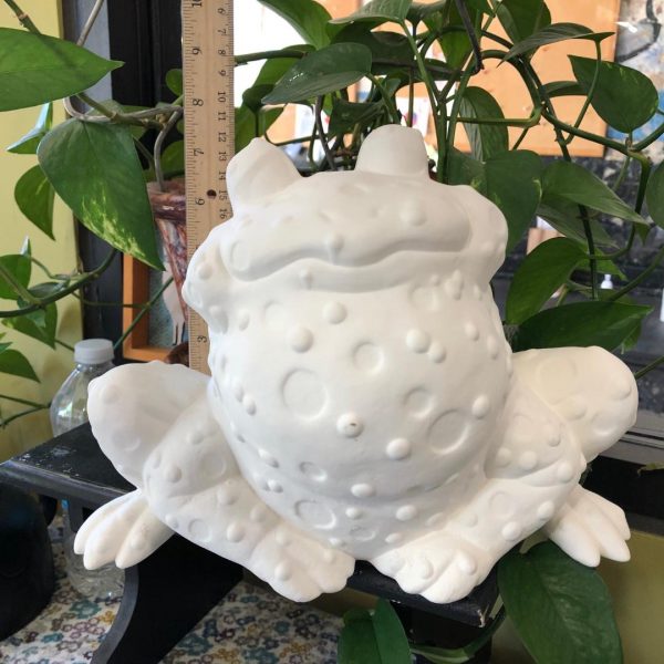Warty Toad