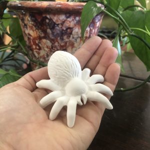 Small Spider