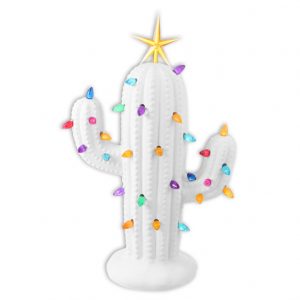 Christmas Cactus