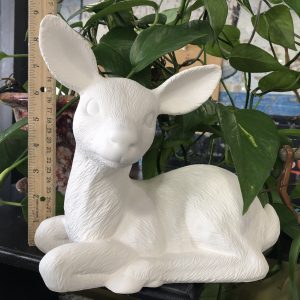 Fawn
