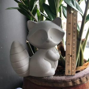 Racoon "Rocky" Turned Right