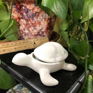 Sea Turtle Box -Small