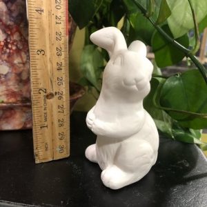 Small Bunny "Bagley"