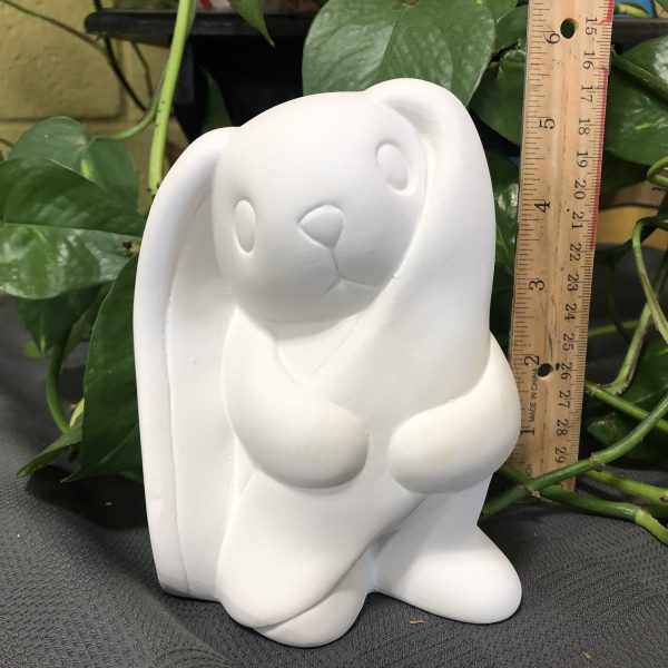 Bunny Holding Ear