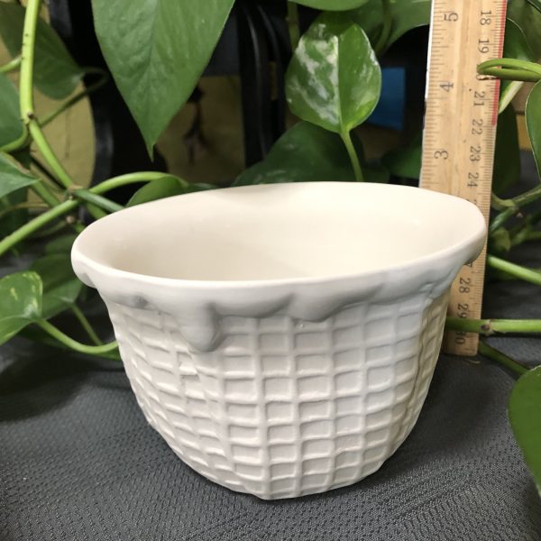 Waffle Cone Bowl