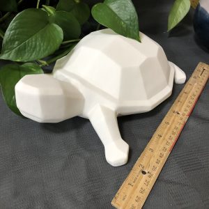 Faceted Turtle