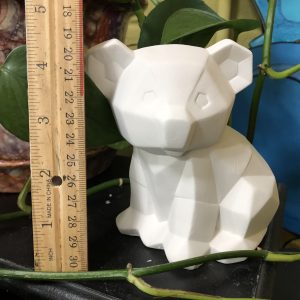 Facetini Koala