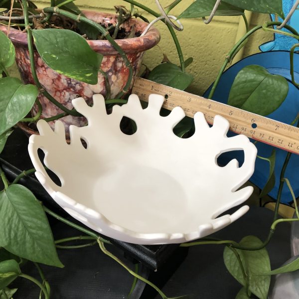Coral Bowl