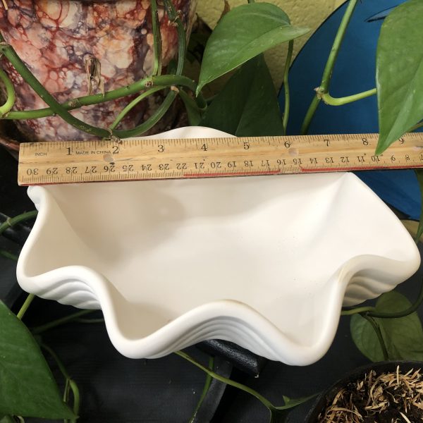 Shell Bowl