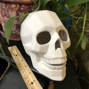 Faceted Skull