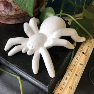 Tarantula