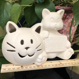 Cat w/ Cat Face Pumpkin