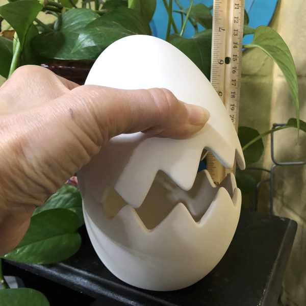Cracked Egg Box