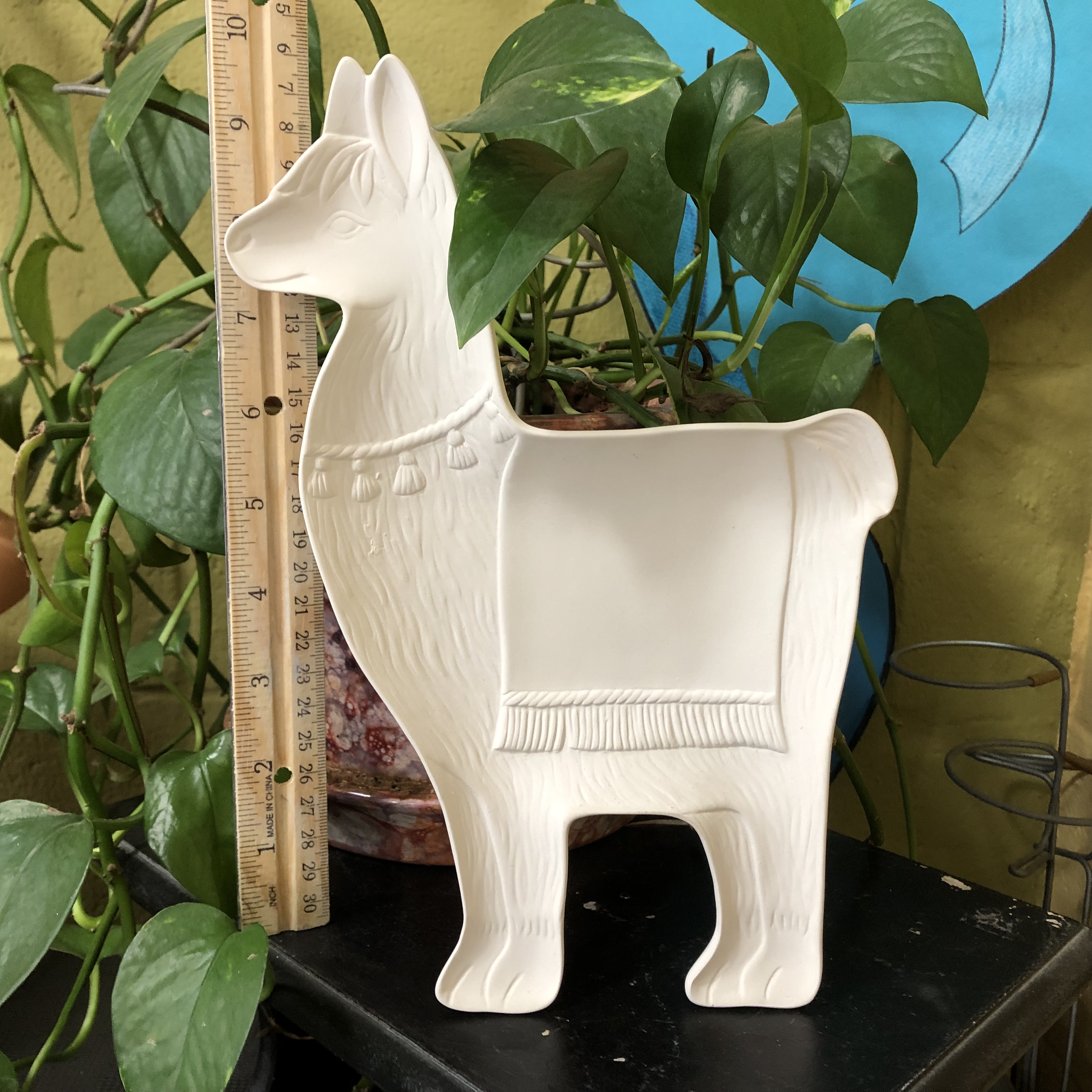 Llama Dish
