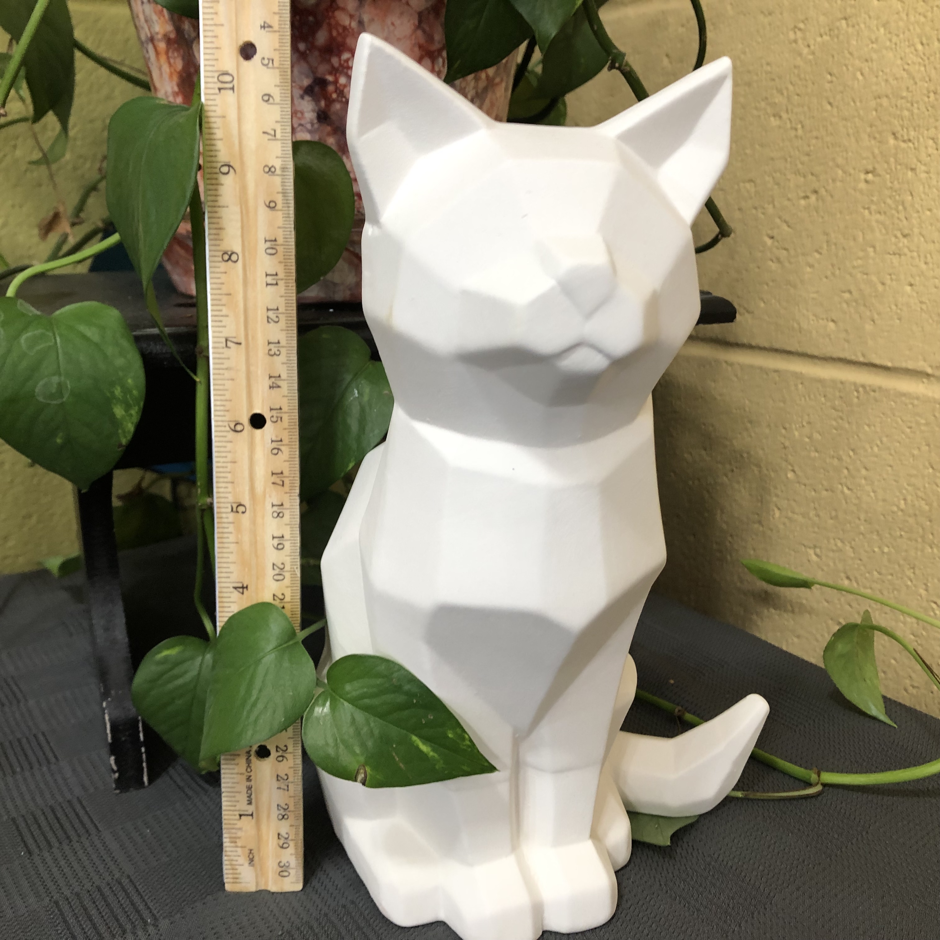 Faceted Cat